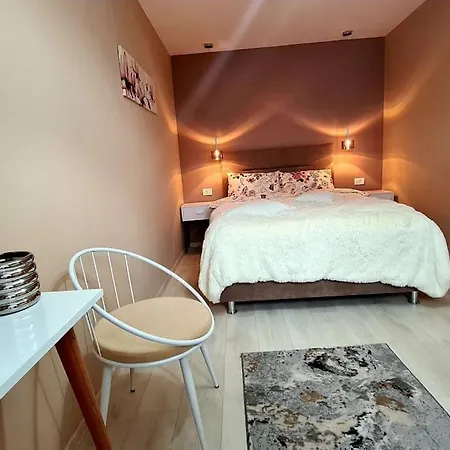 Deas Apartment Timisoara
